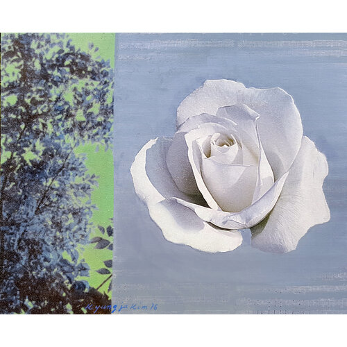 Nature’s Rhythm 1602